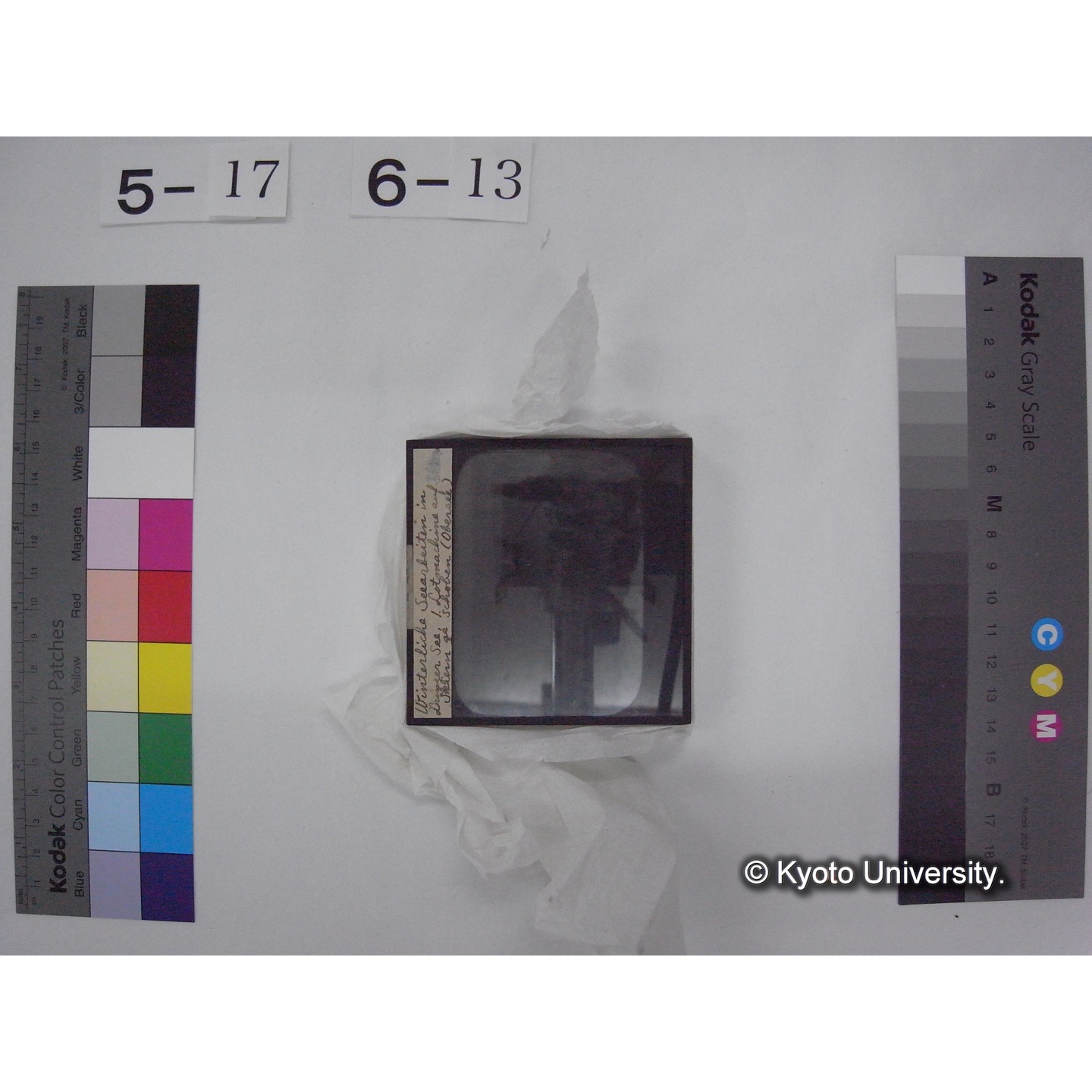 スライド(ガラス種板) (20)