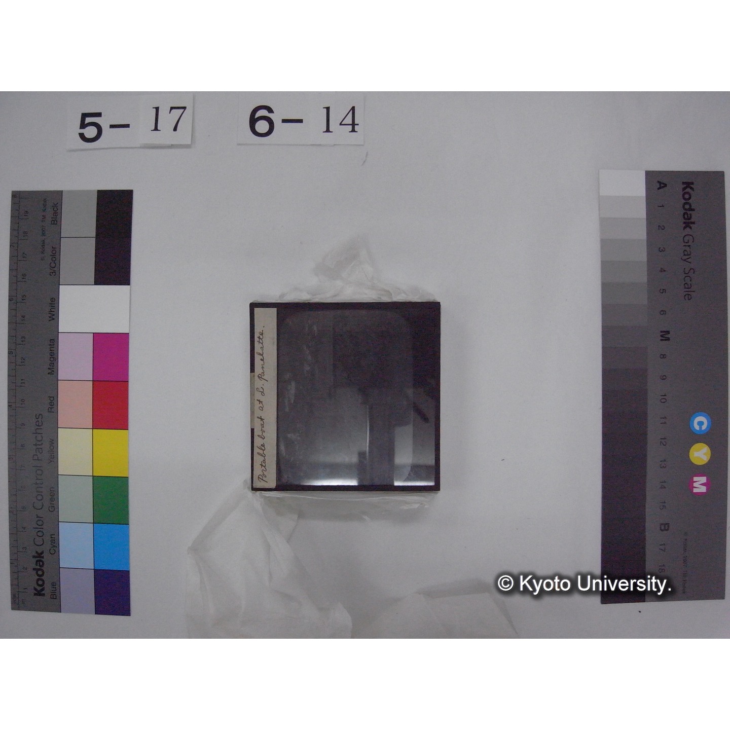 スライド(ガラス種板) (21)