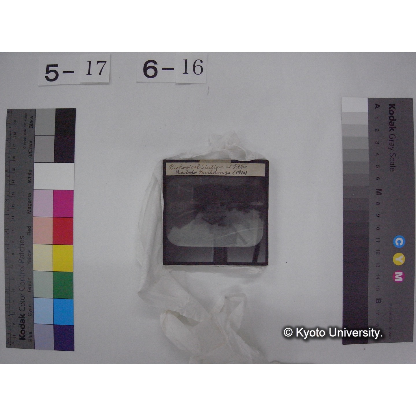 スライド(ガラス種板) (23)