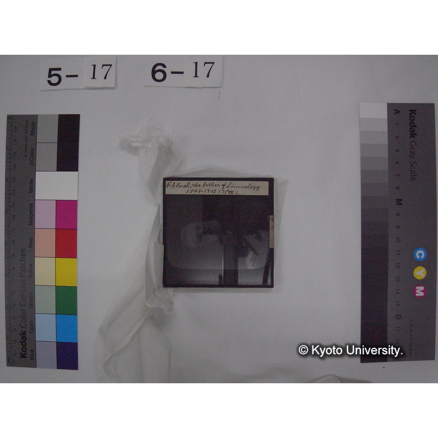 スライド(ガラス種板) (24)