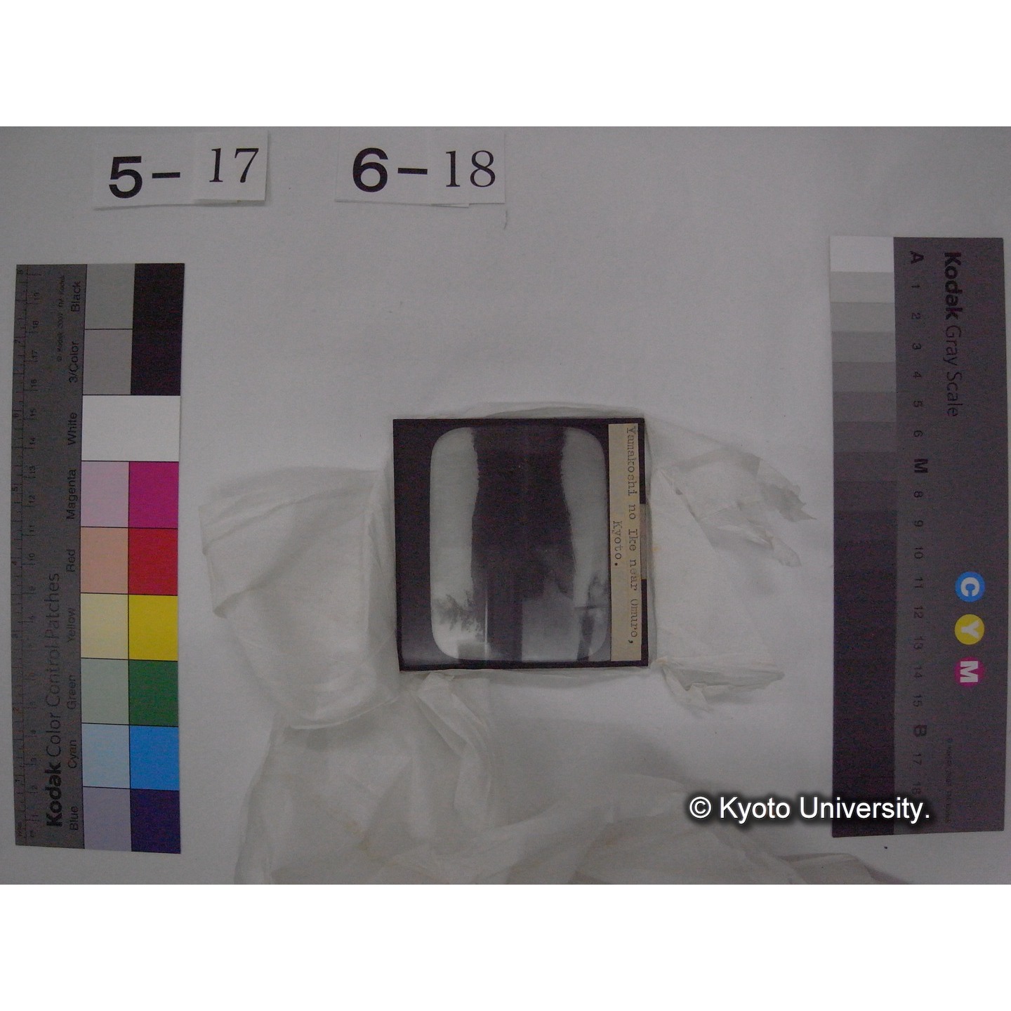 スライド(ガラス種板) (25)