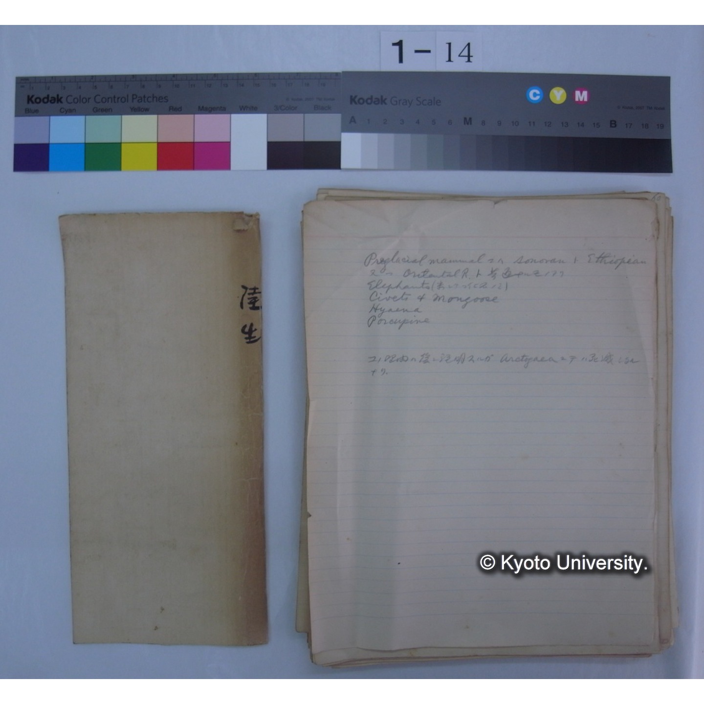 (気候・植生区分における動物の生態) [直筆原稿] / (川村多實二) (1)