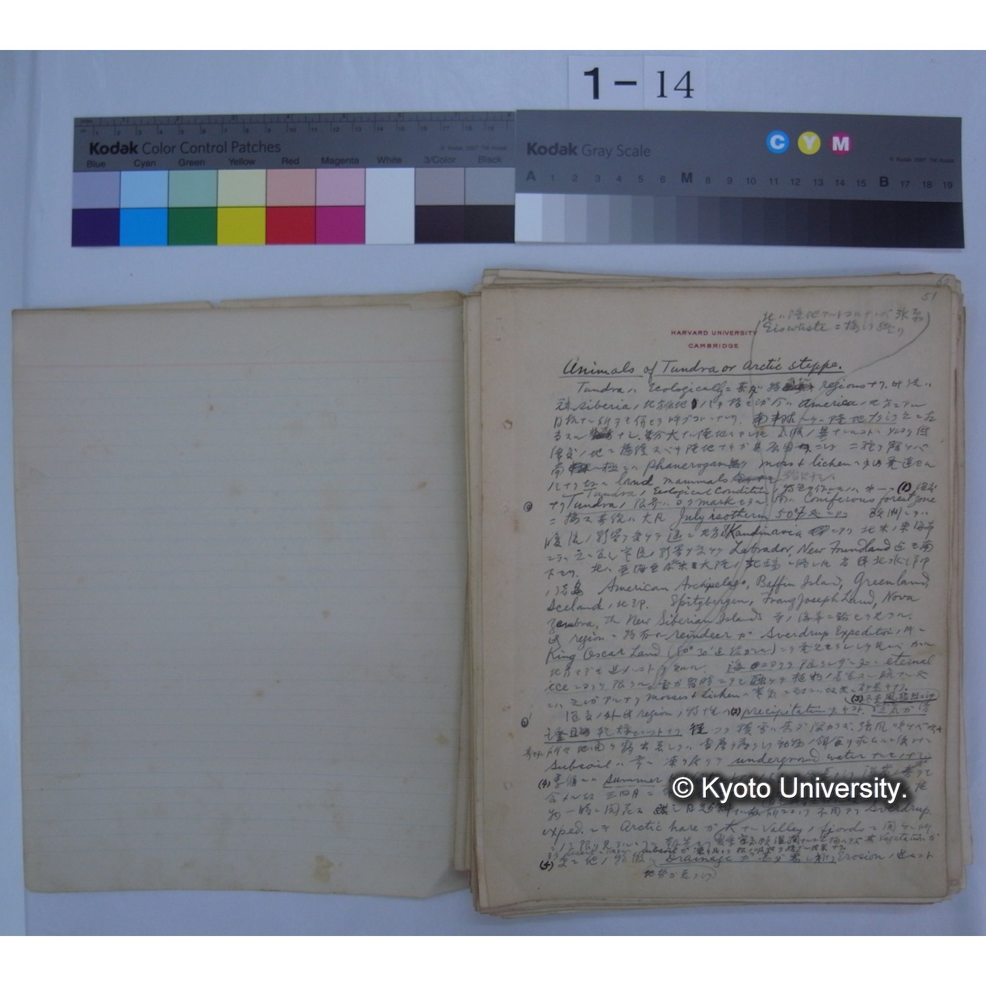 (気候・植生区分における動物の生態) [直筆原稿] / (川村多實二) (2)