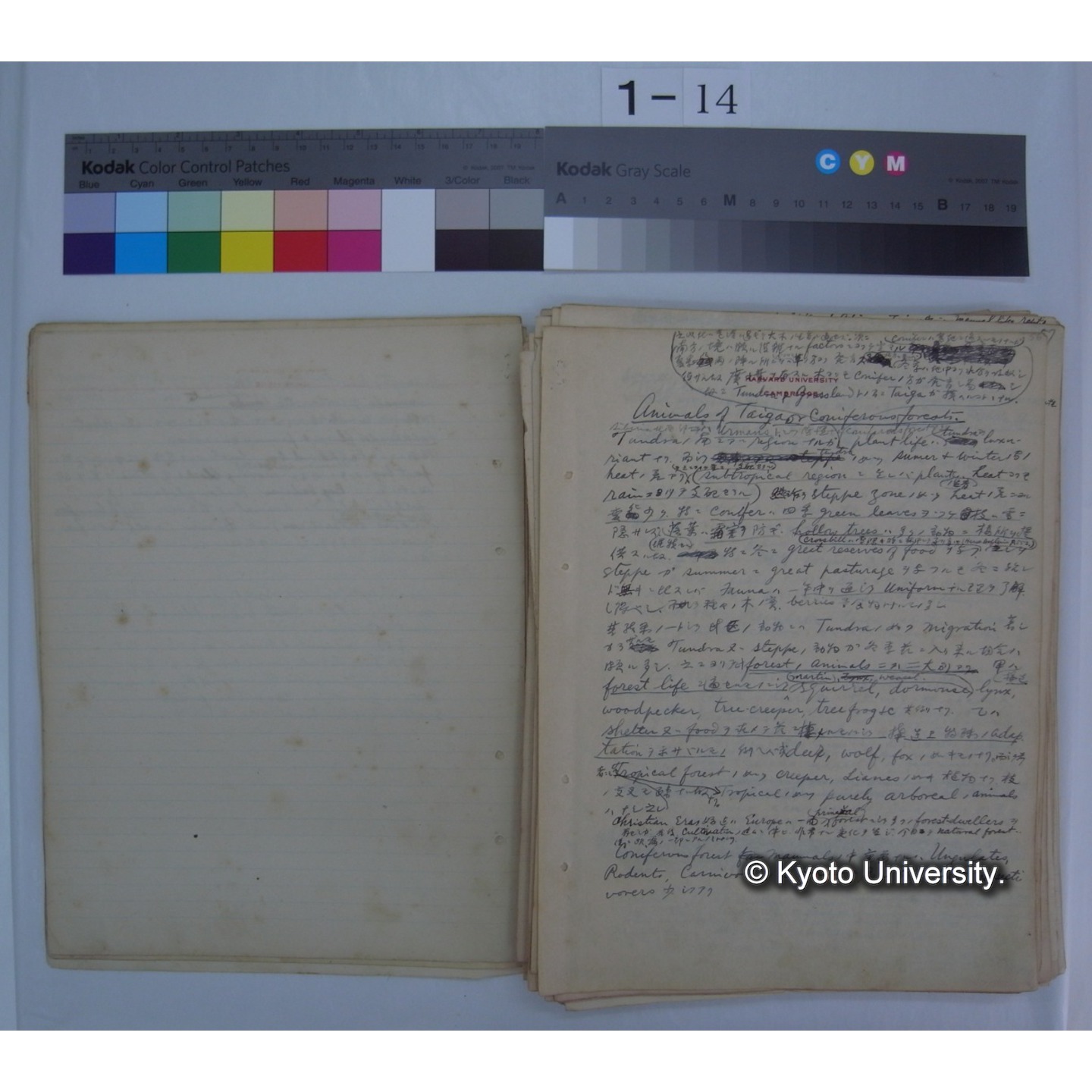 (気候・植生区分における動物の生態) [直筆原稿] / (川村多實二) (3)