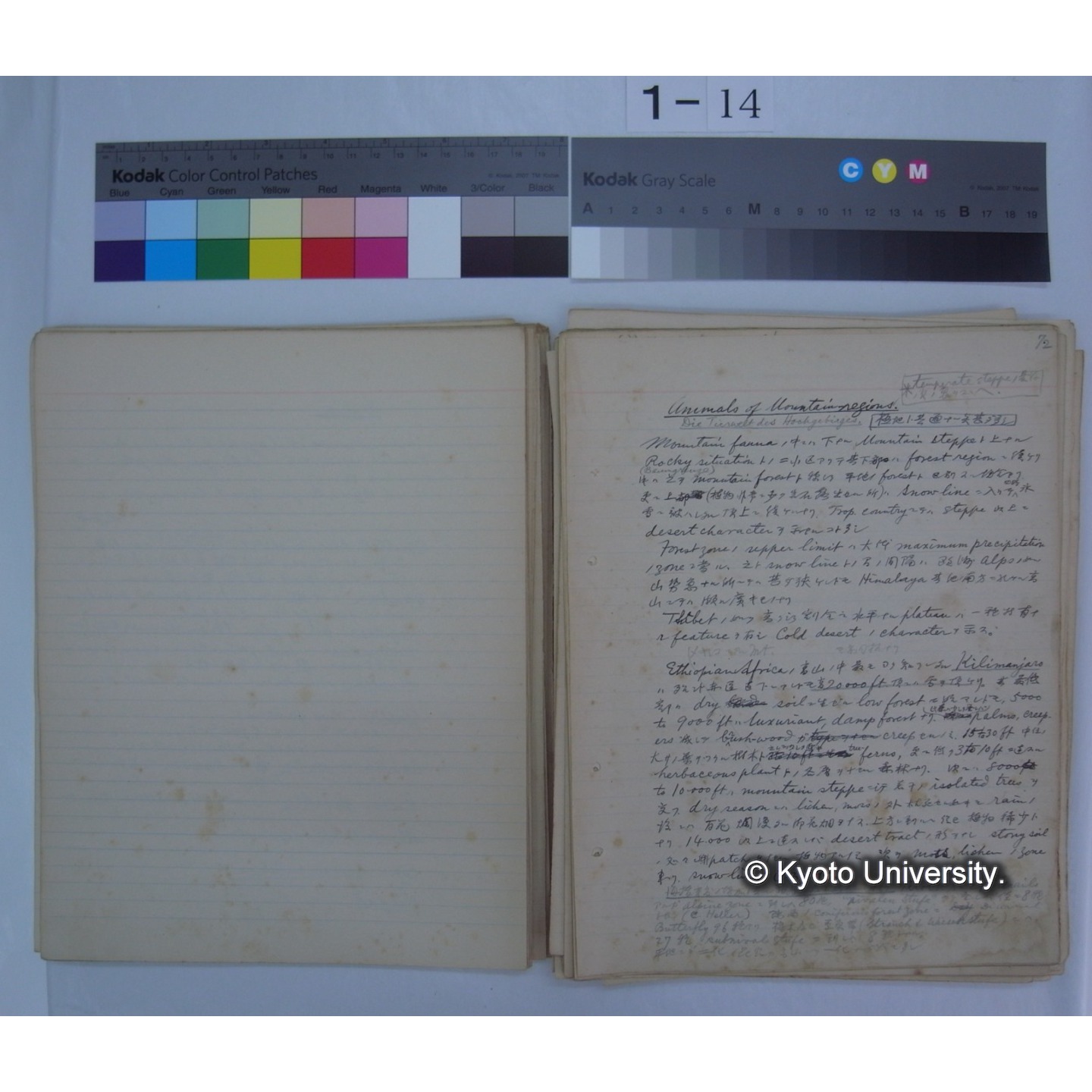 (気候・植生区分における動物の生態) [直筆原稿] / (川村多實二) (6)