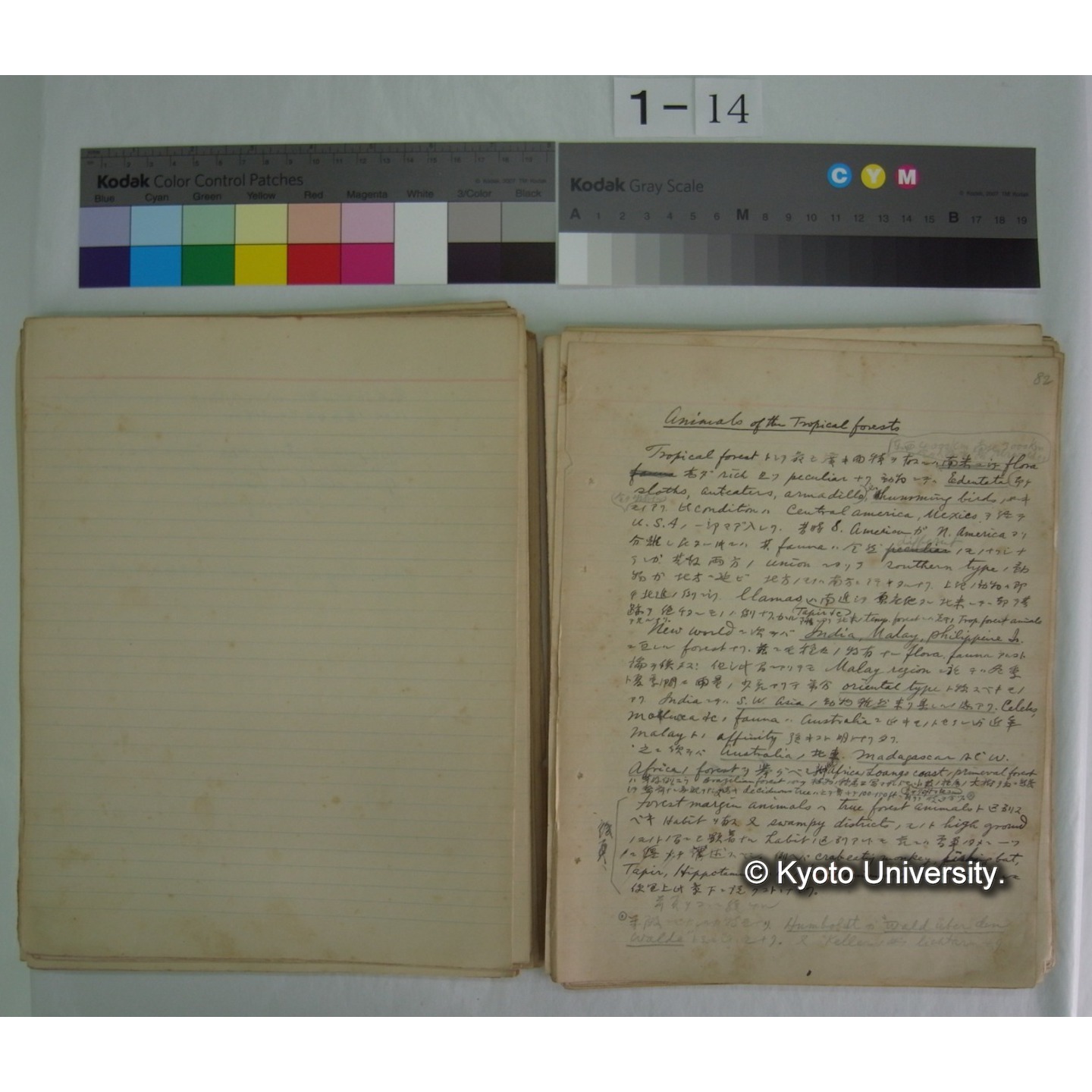 (気候・植生区分における動物の生態) [直筆原稿] / (川村多實二) (9)