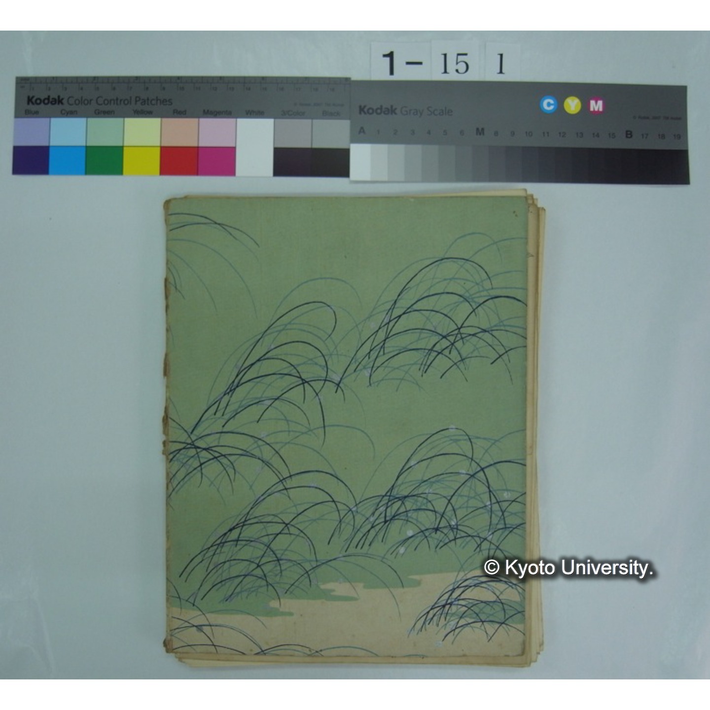 (動物学) [直筆原稿] / (川村多實二) (1)