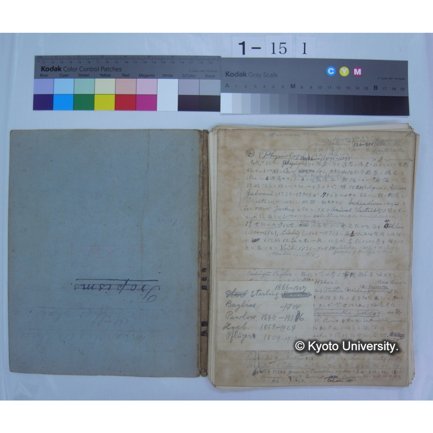 (動物学) [直筆原稿] / (川村多實二) (2)