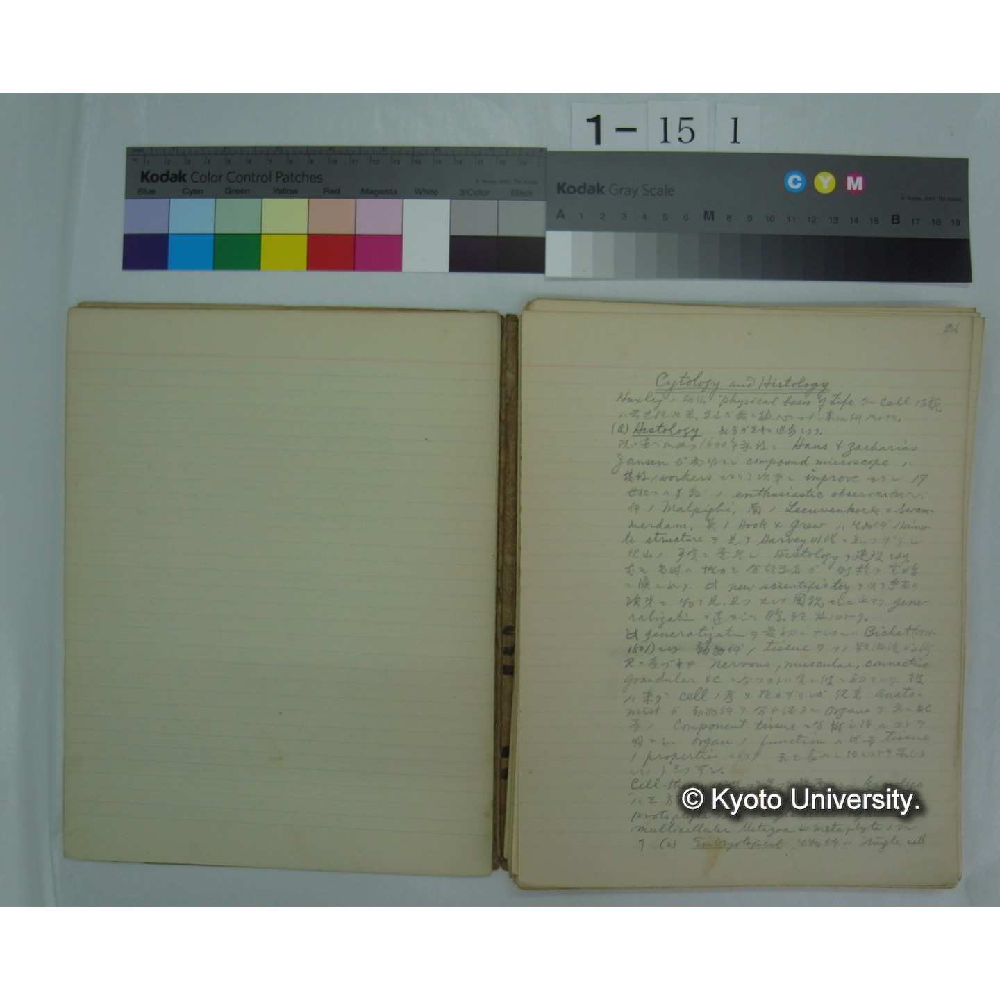 (動物学) [直筆原稿] / (川村多實二) (3)