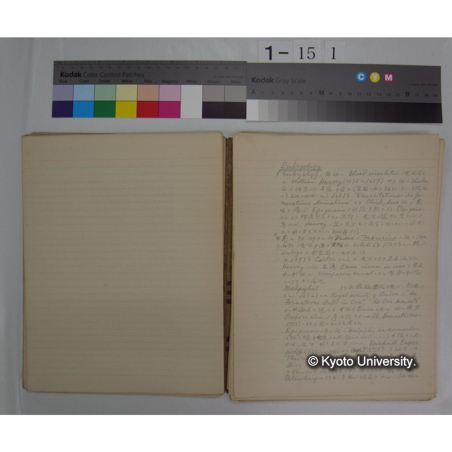 (動物学) [直筆原稿] / (川村多實二) (5)