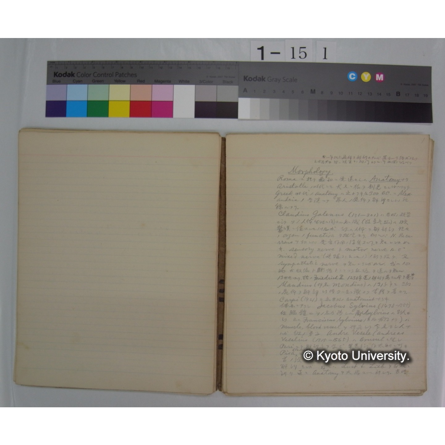 (動物学) [直筆原稿] / (川村多實二) (7)