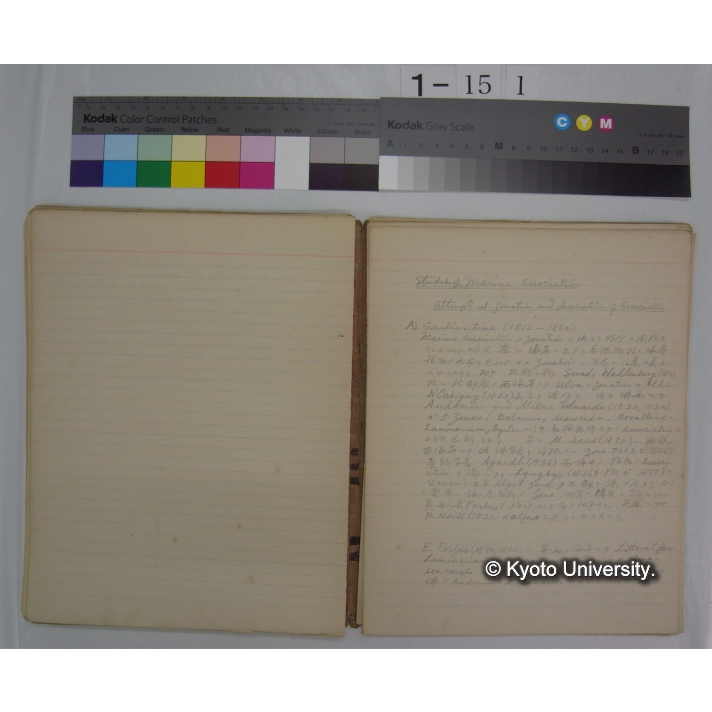 (動物学) [直筆原稿] / (川村多實二) (11)