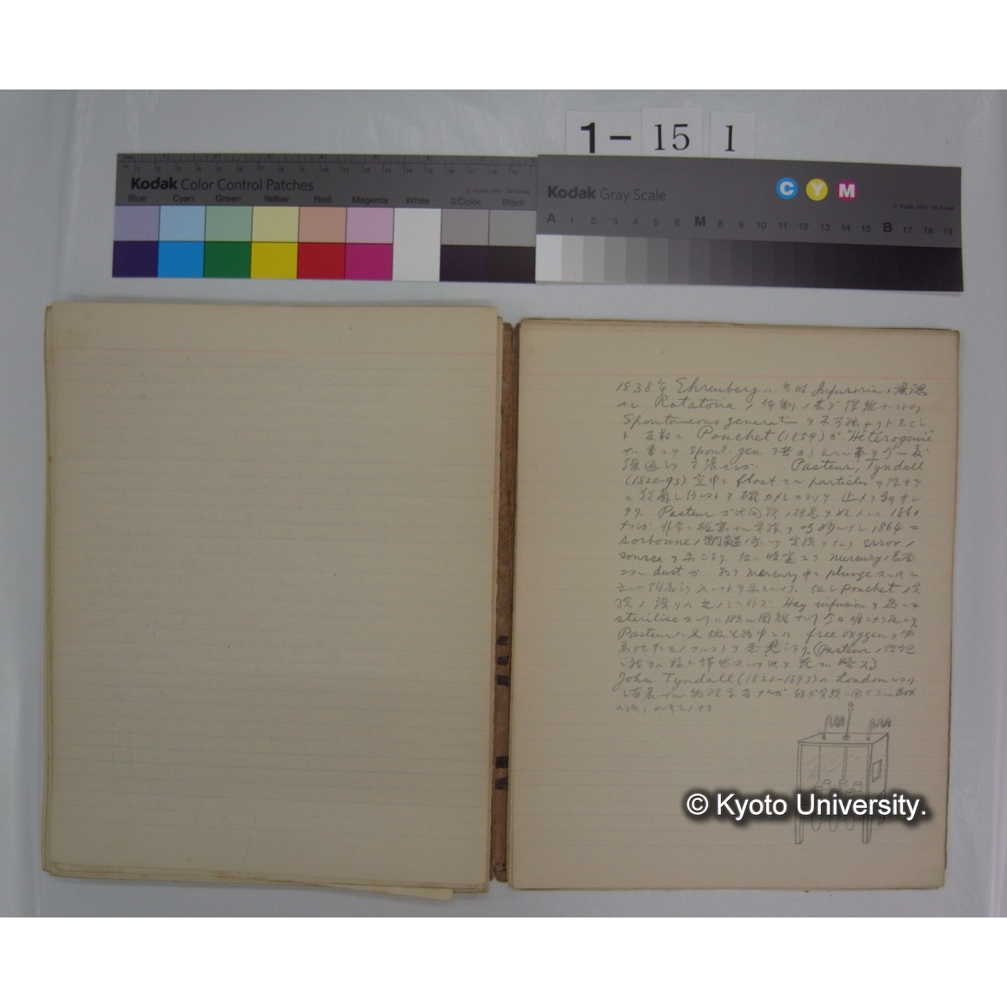 (動物学) [直筆原稿] / (川村多實二) (13)