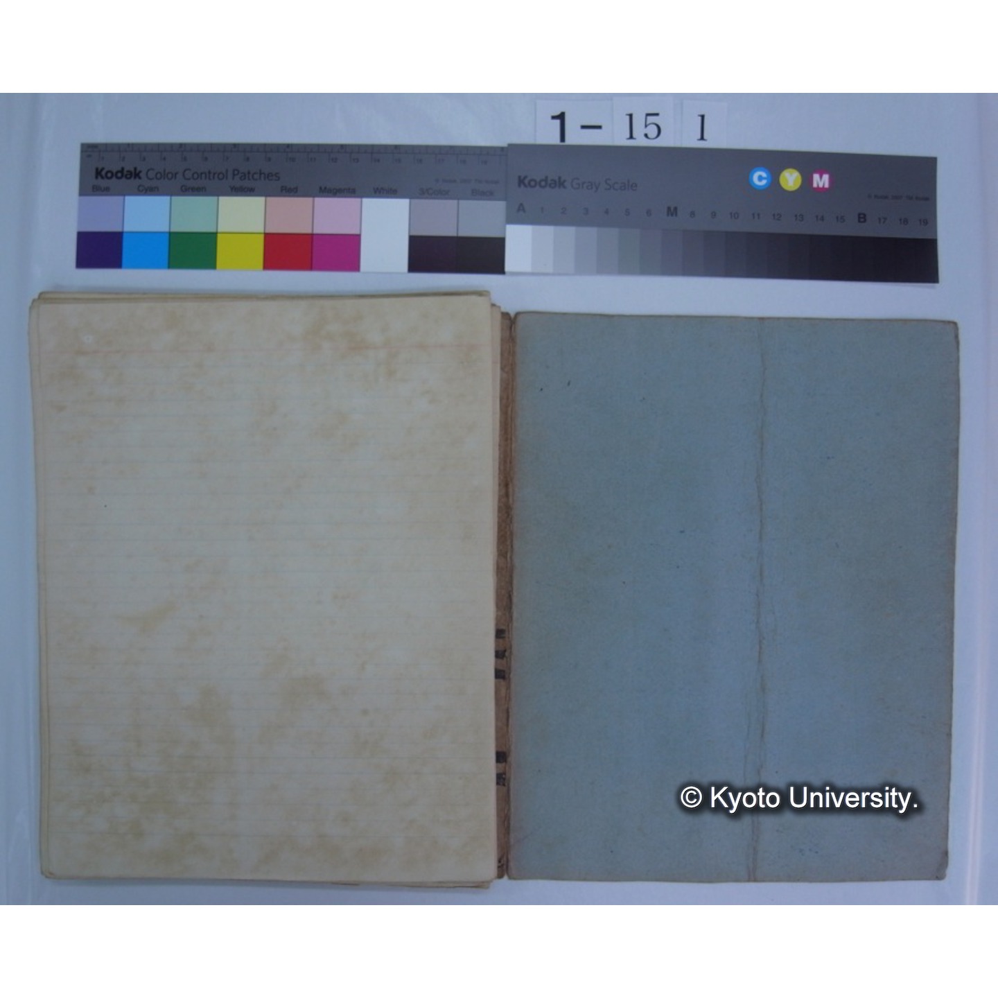 (動物学) [直筆原稿] / (川村多實二) (14)