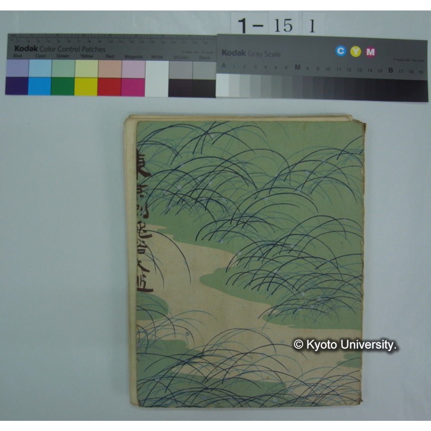 (動物学) [直筆原稿] / (川村多實二) (15)