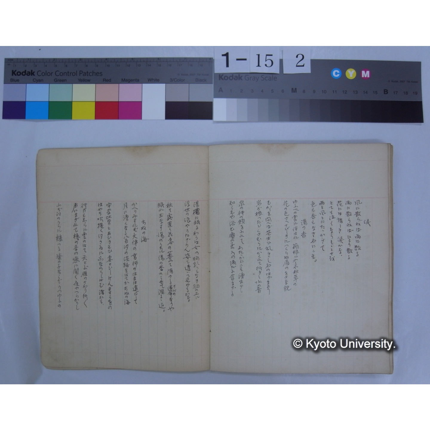 第二集 晩翠 桂月 酔茗 雨江 幼天鵠 東圃 (詩歌書写ノート)　[直筆書写] / (川村多實二) (20)