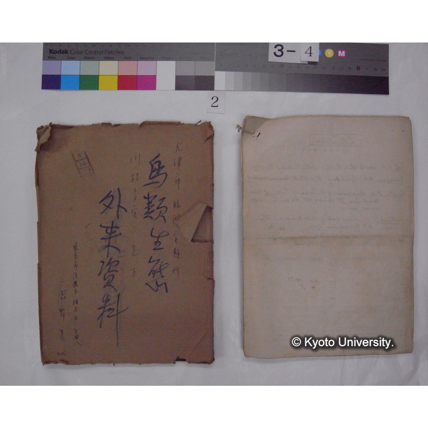 原稿・書簡・資料 (「鳥類生態/外来資料」) (2)