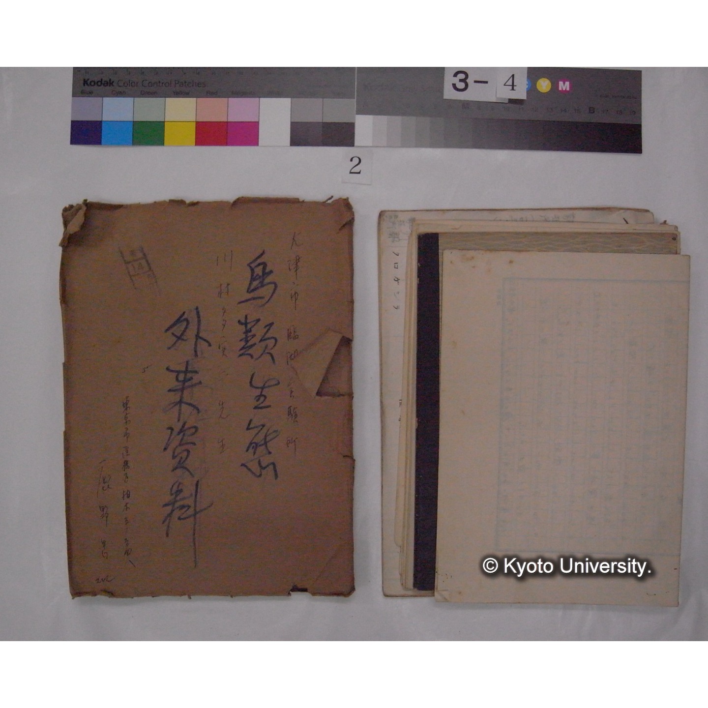 原稿・書簡・資料 (「鳥類生態/外来資料」) (3)