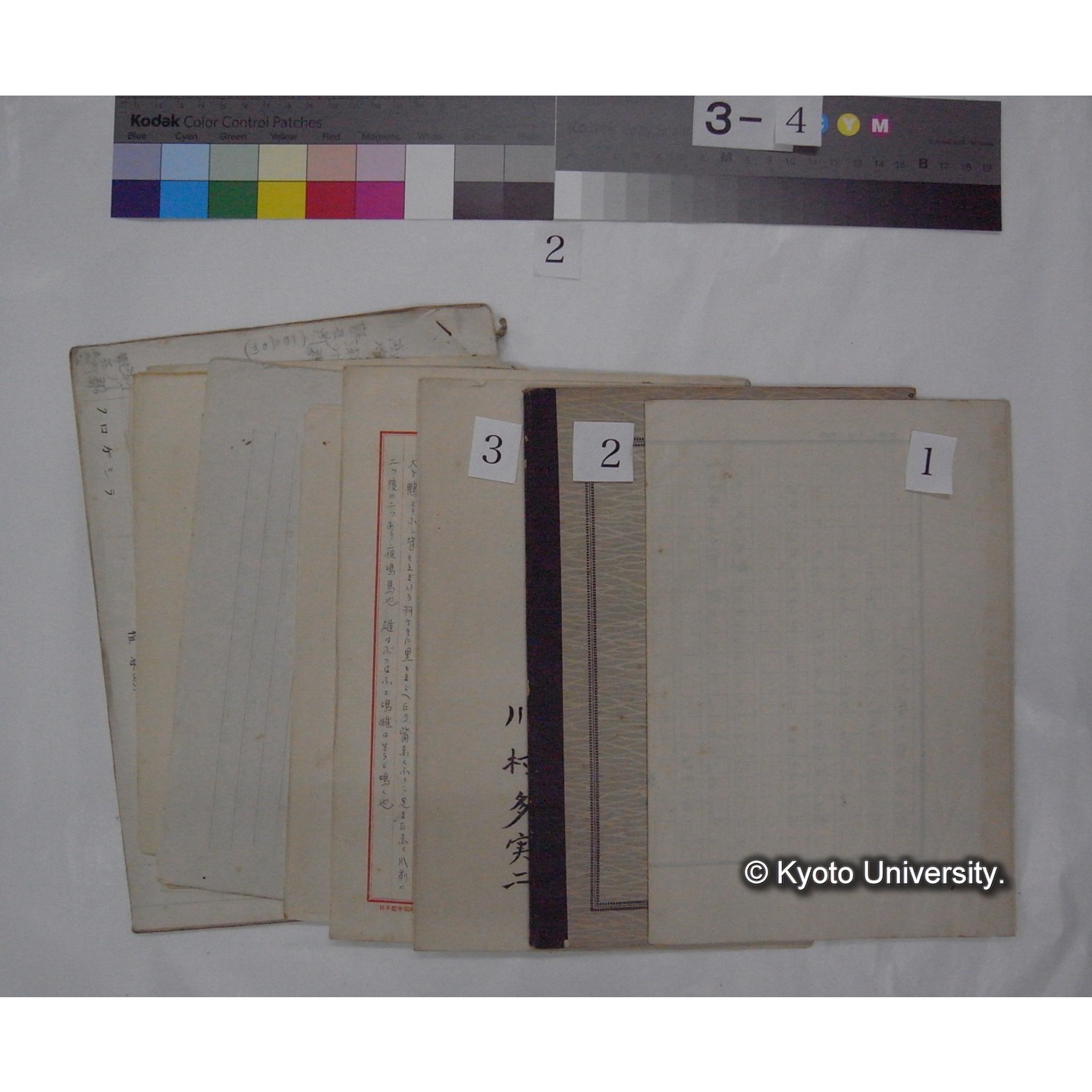 原稿・書簡・資料 (「鳥類生態/外来資料」) (4)