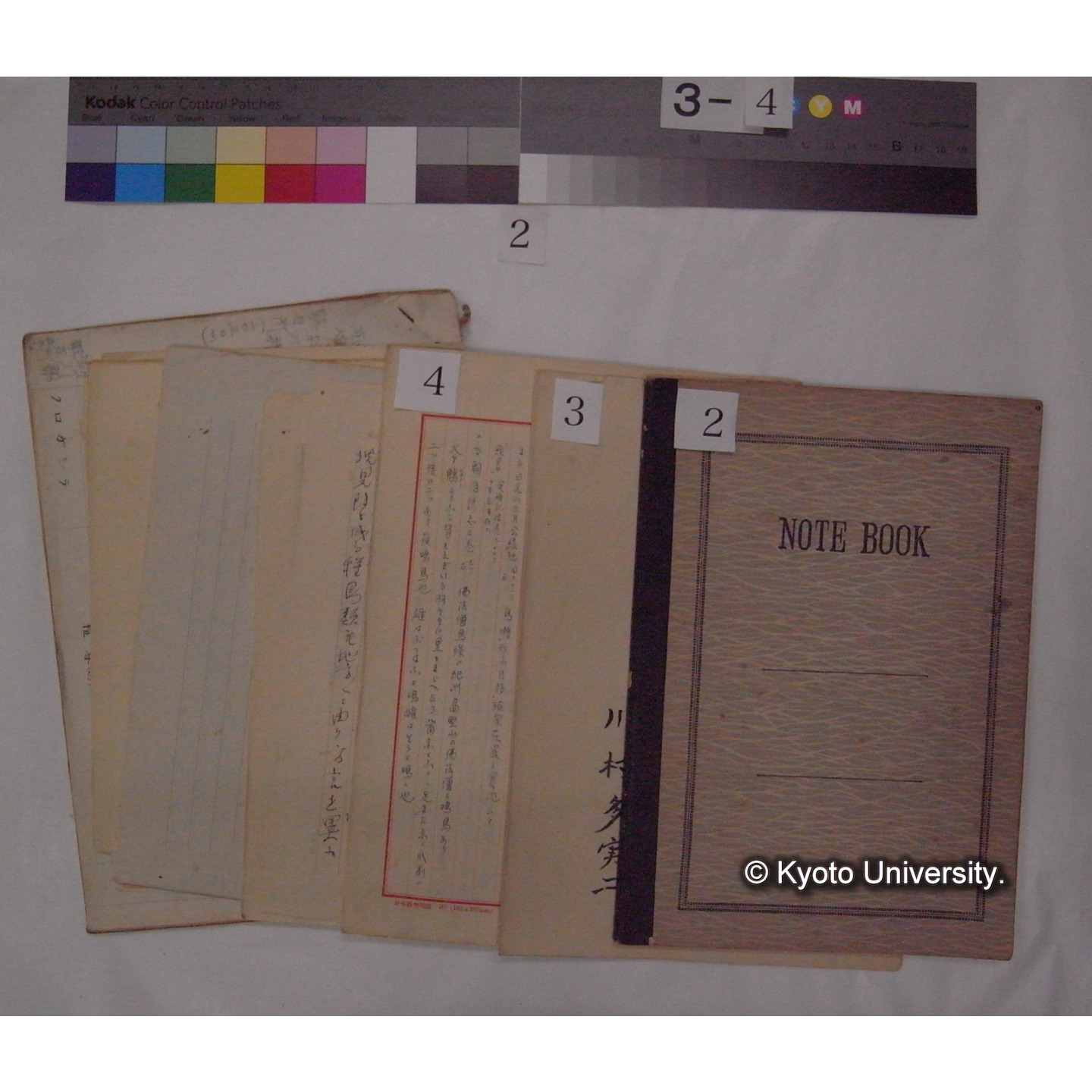 原稿・書簡・資料 (「鳥類生態/外来資料」) (5)