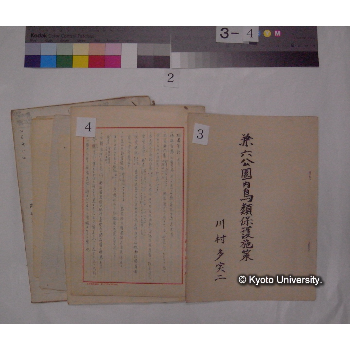 原稿・書簡・資料 (「鳥類生態/外来資料」) (6)