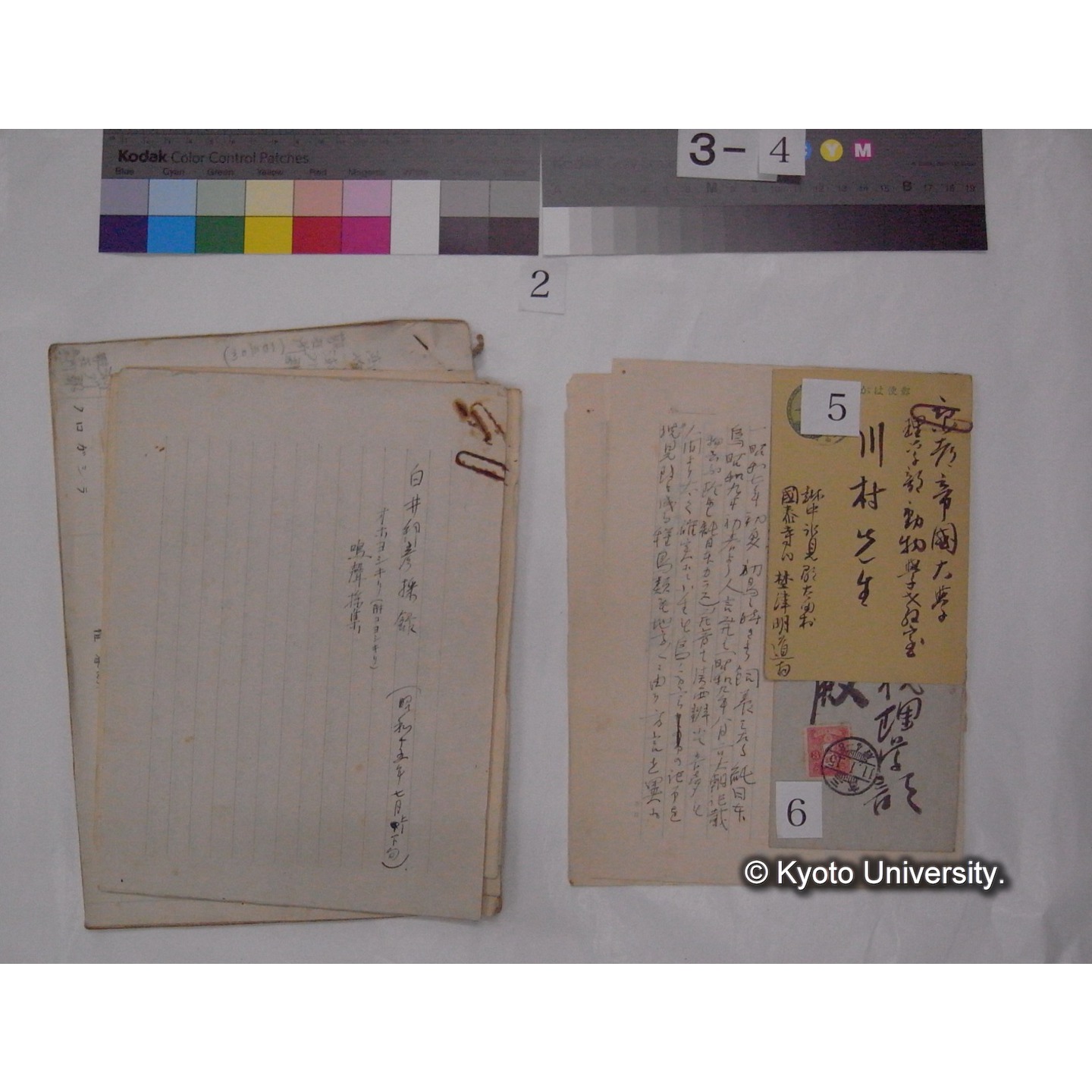 原稿・書簡・資料 (「鳥類生態/外来資料」) (7)