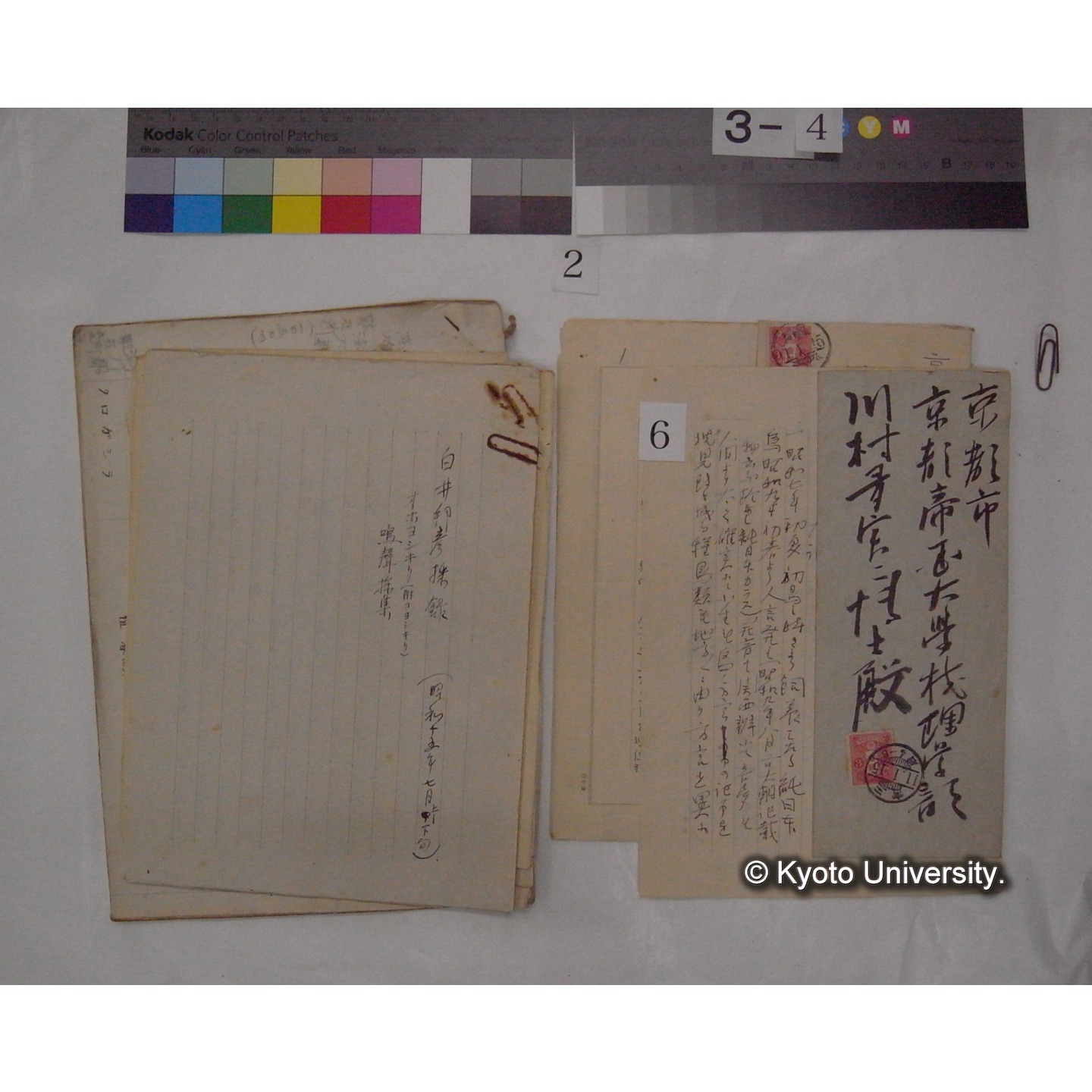 原稿・書簡・資料 (「鳥類生態/外来資料」) (8)