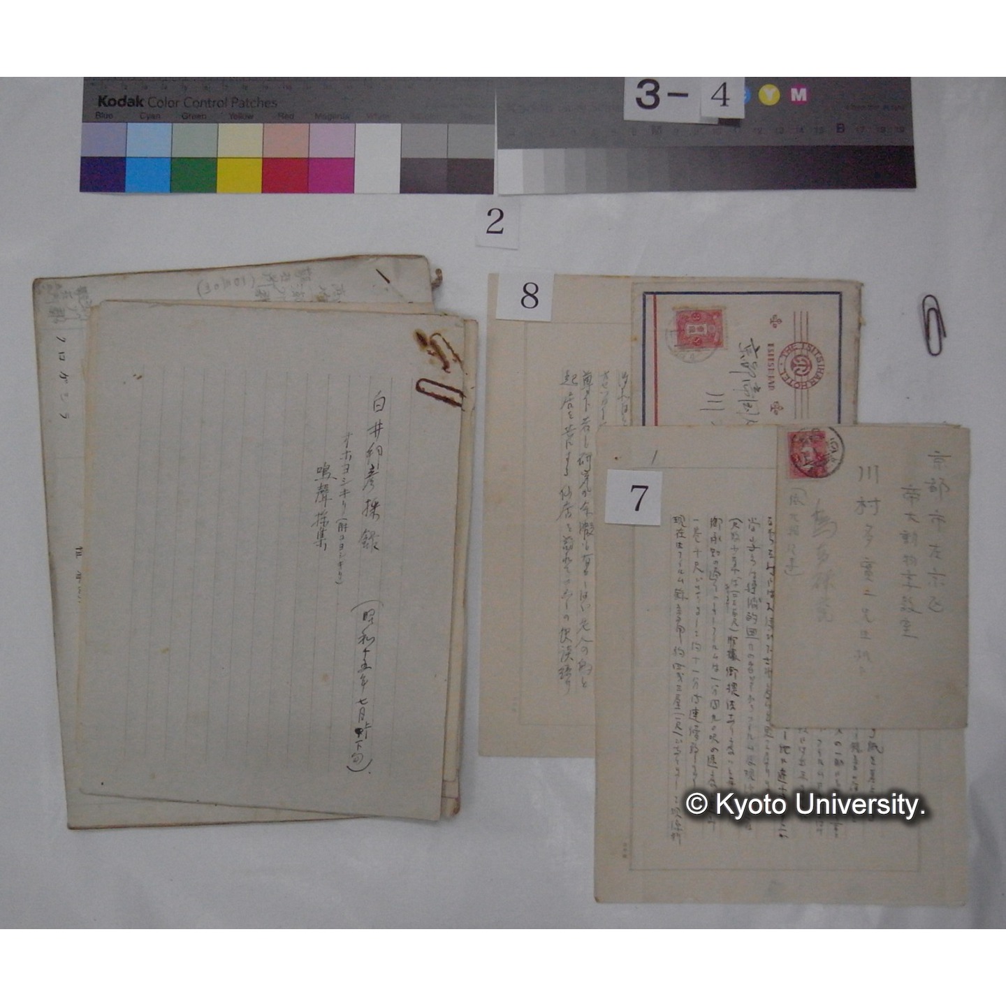 原稿・書簡・資料 (「鳥類生態/外来資料」) (9)