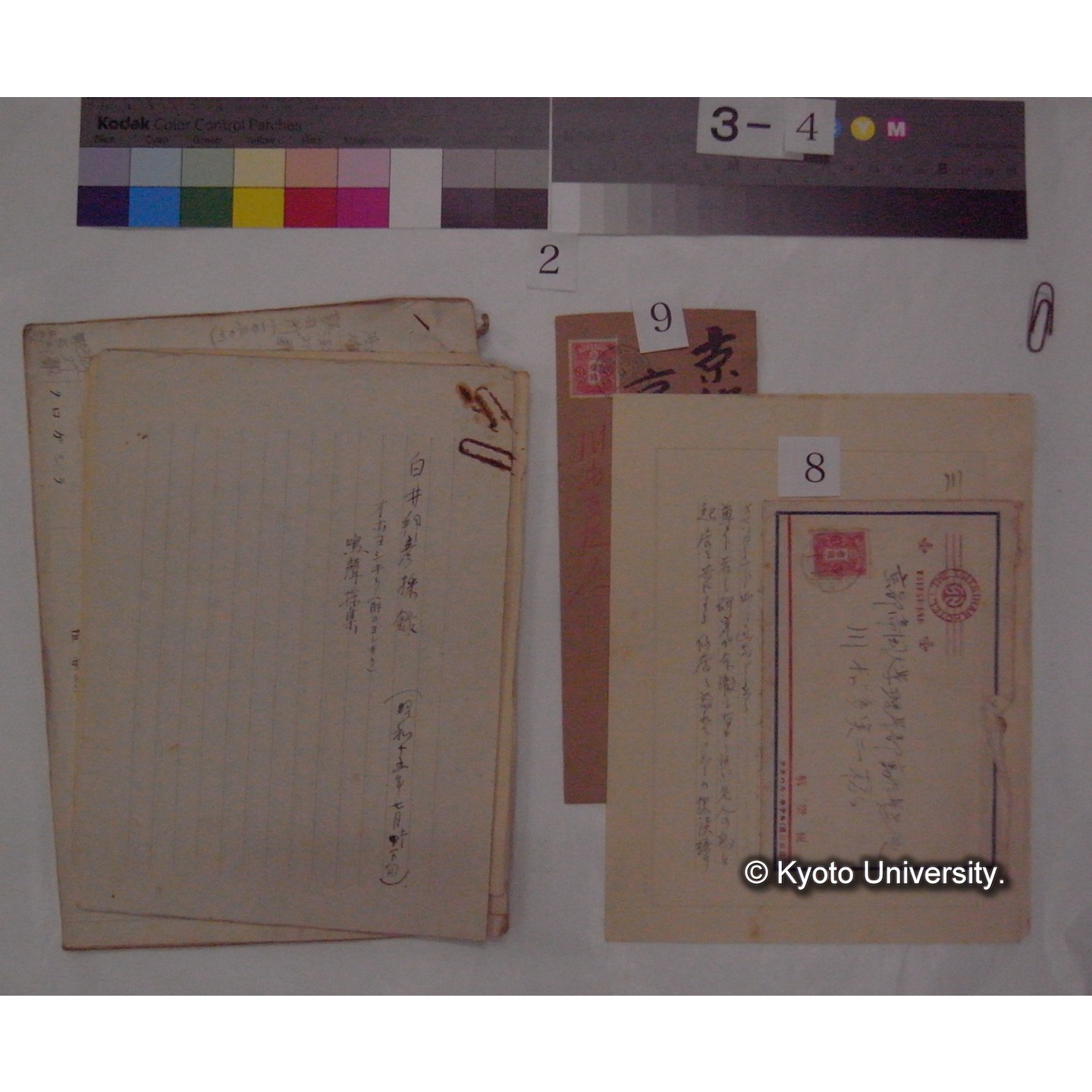 原稿・書簡・資料 (「鳥類生態/外来資料」) (10)