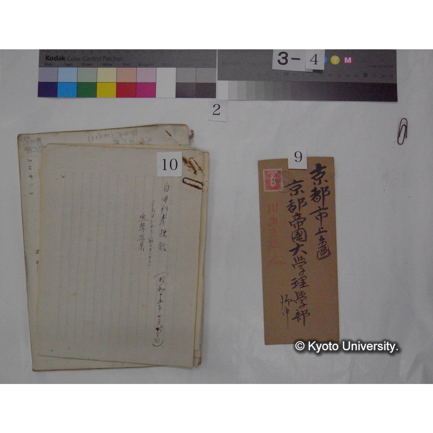 原稿・書簡・資料 (「鳥類生態/外来資料」) (11)