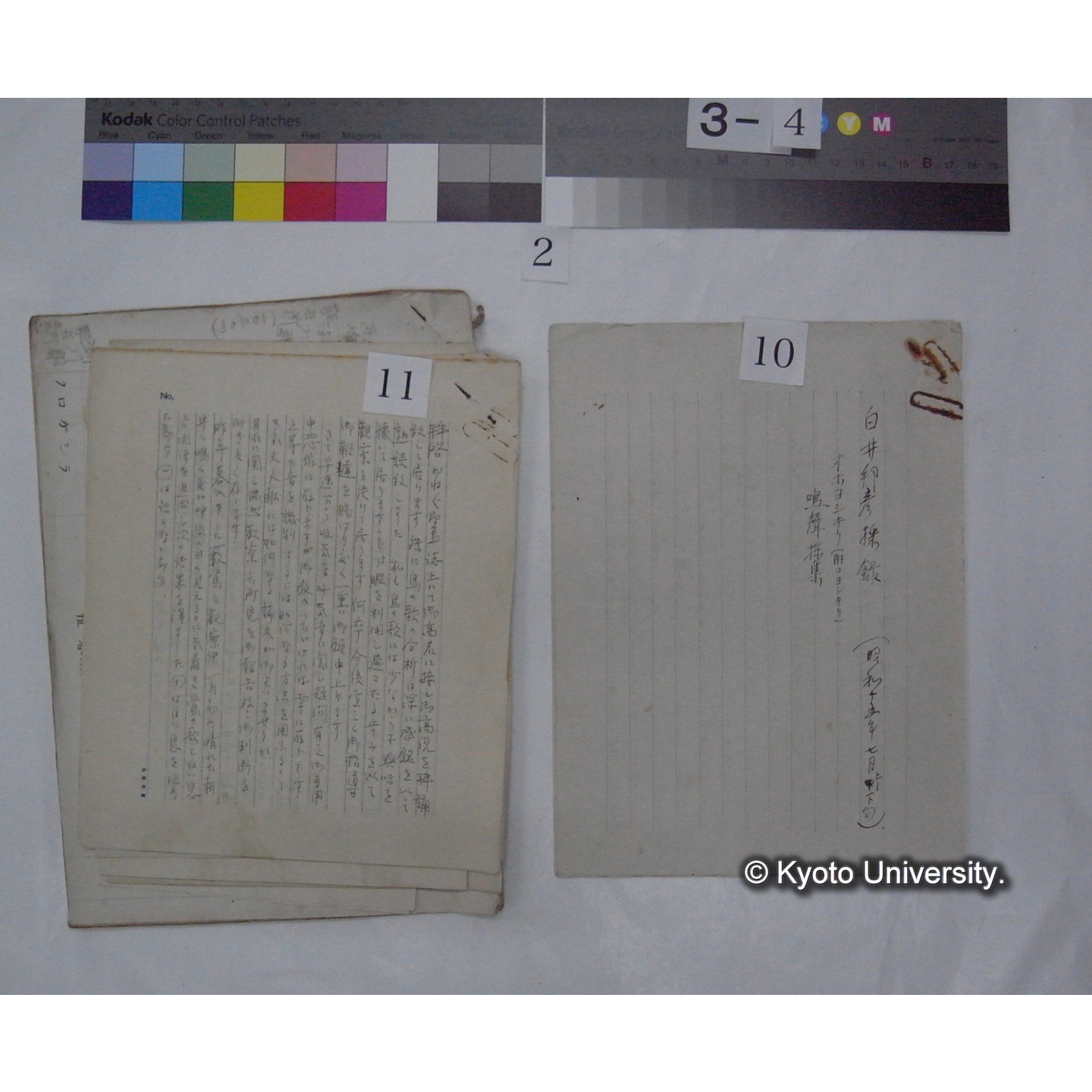 原稿・書簡・資料 (「鳥類生態/外来資料」) (12)