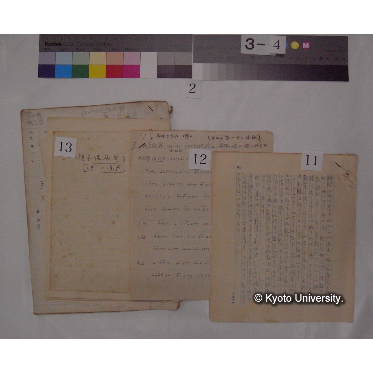 原稿・書簡・資料 (「鳥類生態/外来資料」) (13)