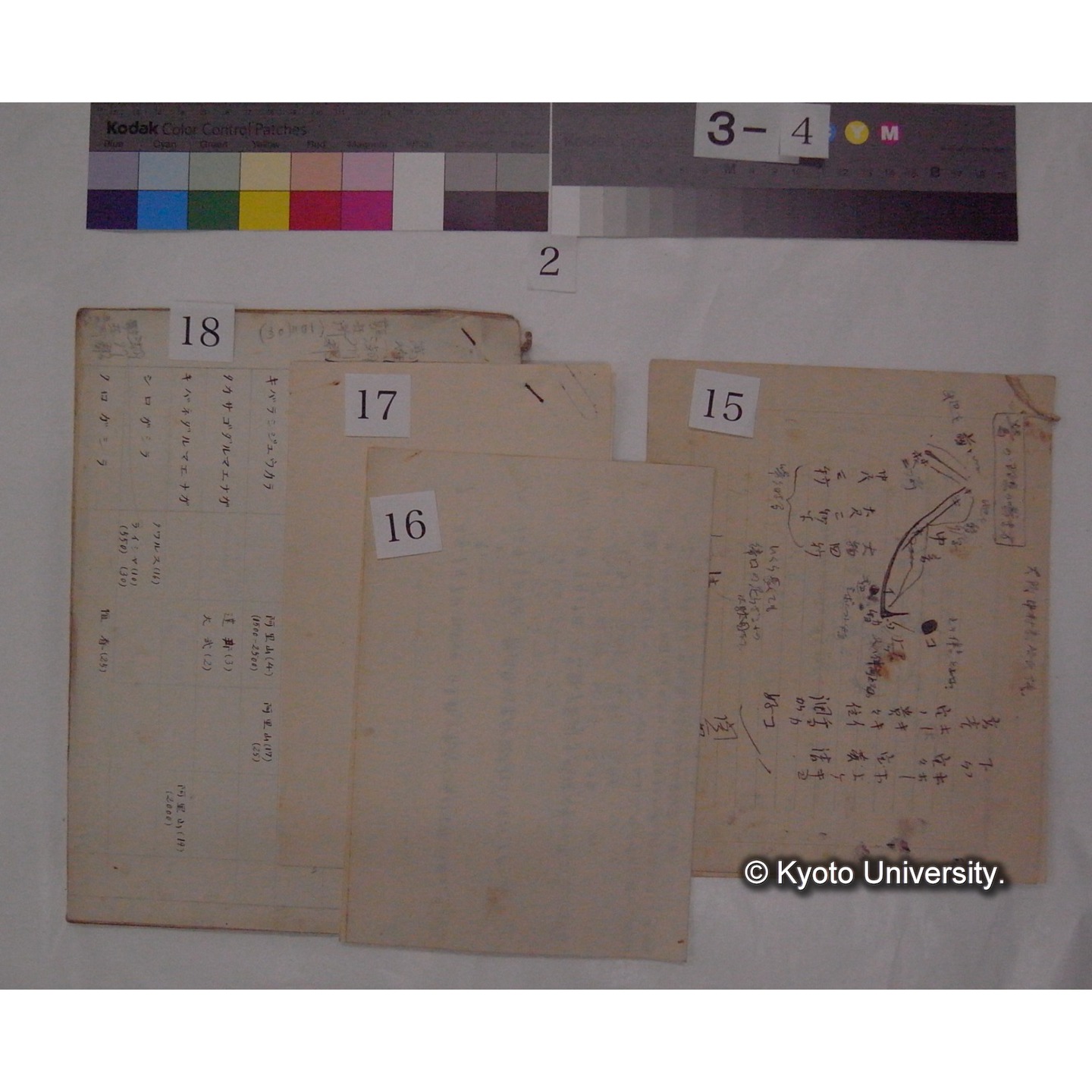 原稿・書簡・資料 (「鳥類生態/外来資料」) (15)