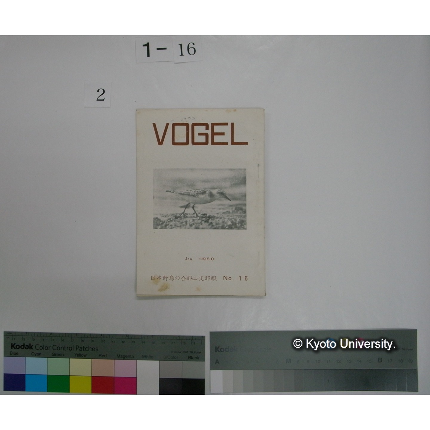 VOGEL 16号(昭和35.1) : 日本野鳥の会郡山支部報 (1)