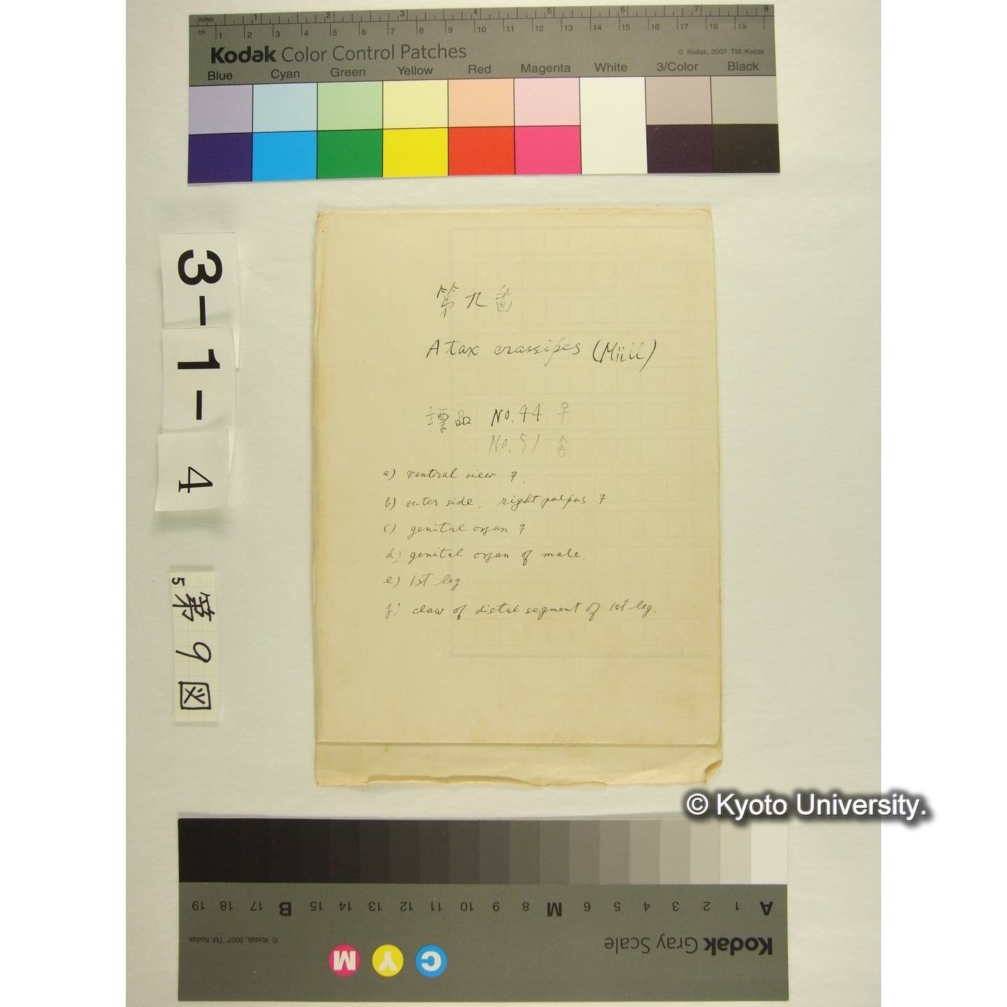 第9図 (不詳) (1)