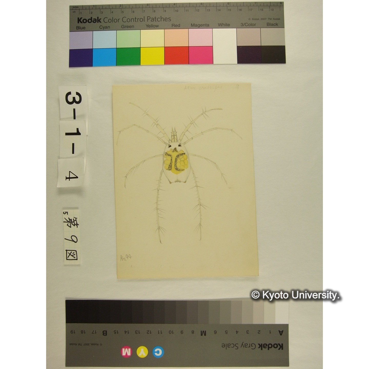 第9図 (不詳) (2)