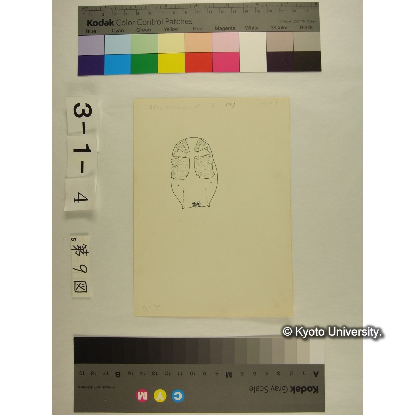 第9図 (不詳) (3)