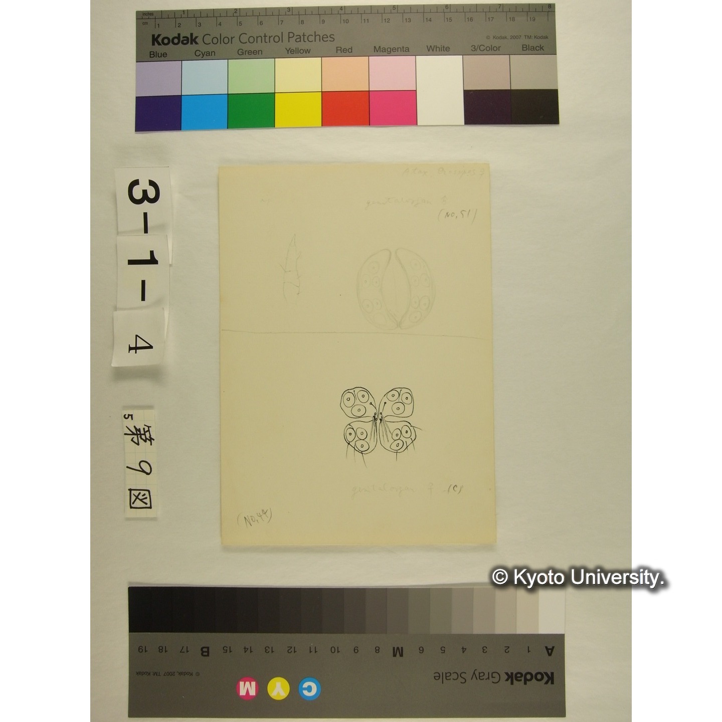 第9図 (不詳) (4)