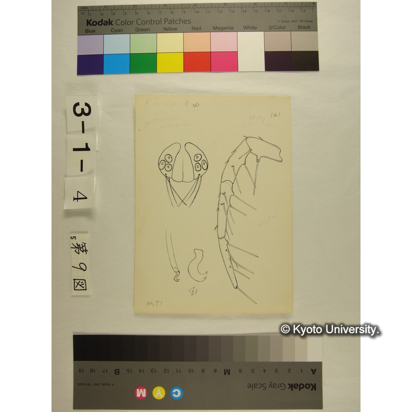 第9図 (不詳) (6)