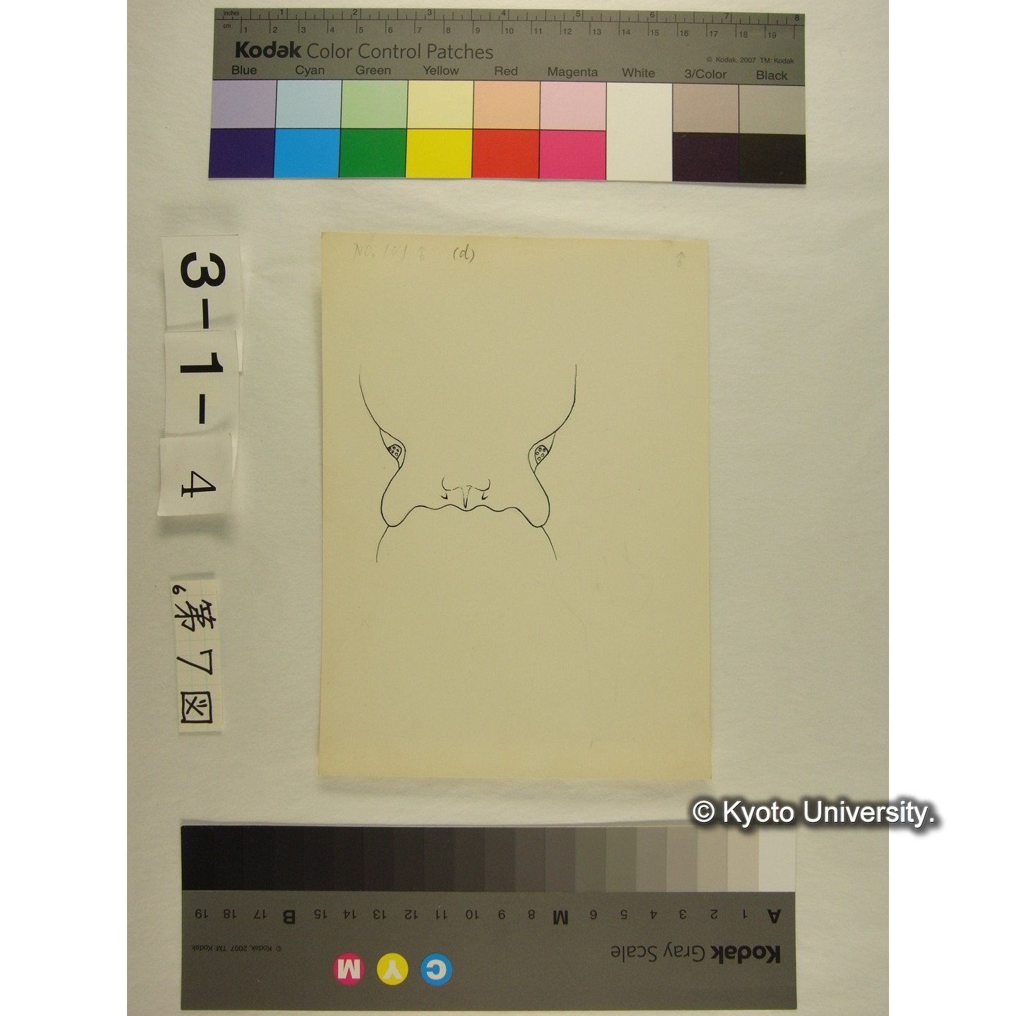 第7図 (不詳) (4)