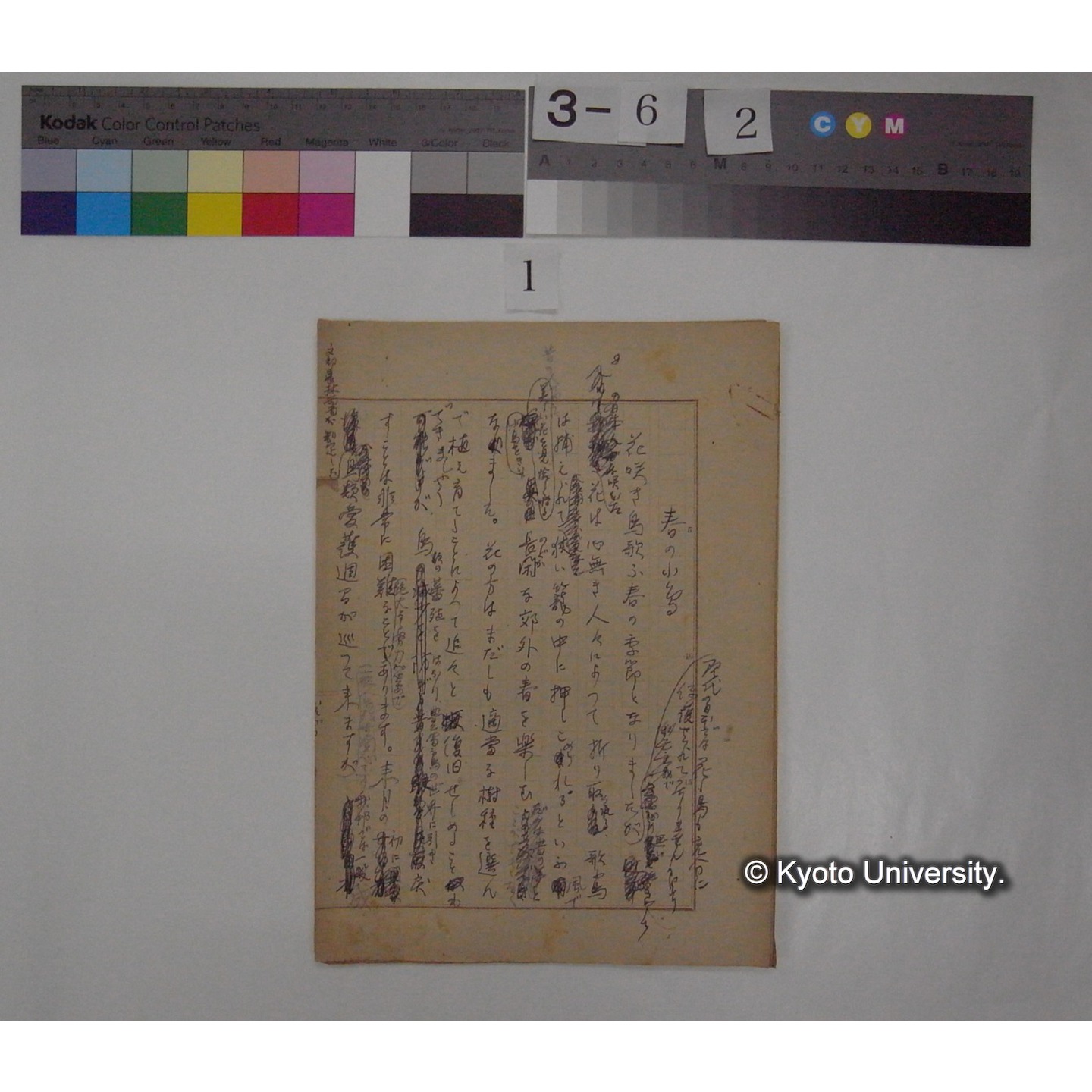 春の小鳥 / (川村多實二) [直筆原稿] (1)