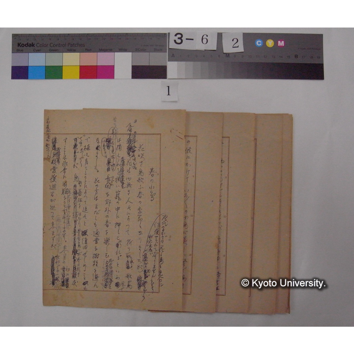 春の小鳥 / (川村多實二) [直筆原稿] (2)