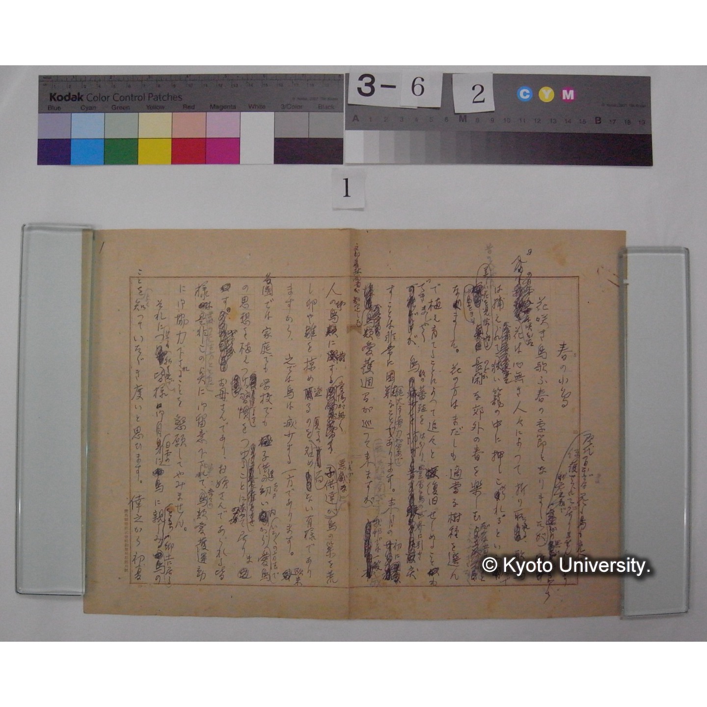 春の小鳥 / (川村多實二) [直筆原稿] (3)