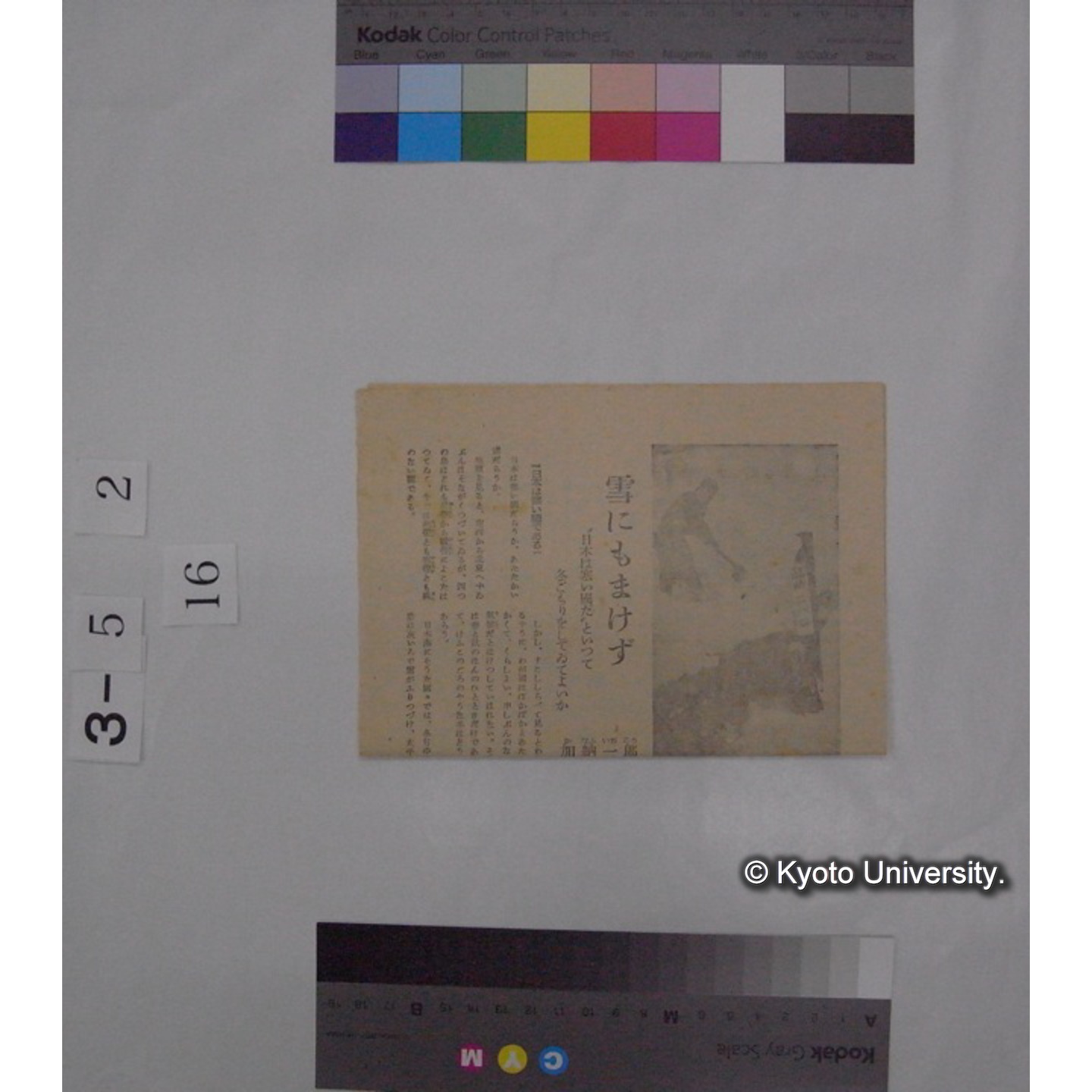 ことりのなきごえ/川村多実二 (こども朝日; 7巻1号切抜) (1)