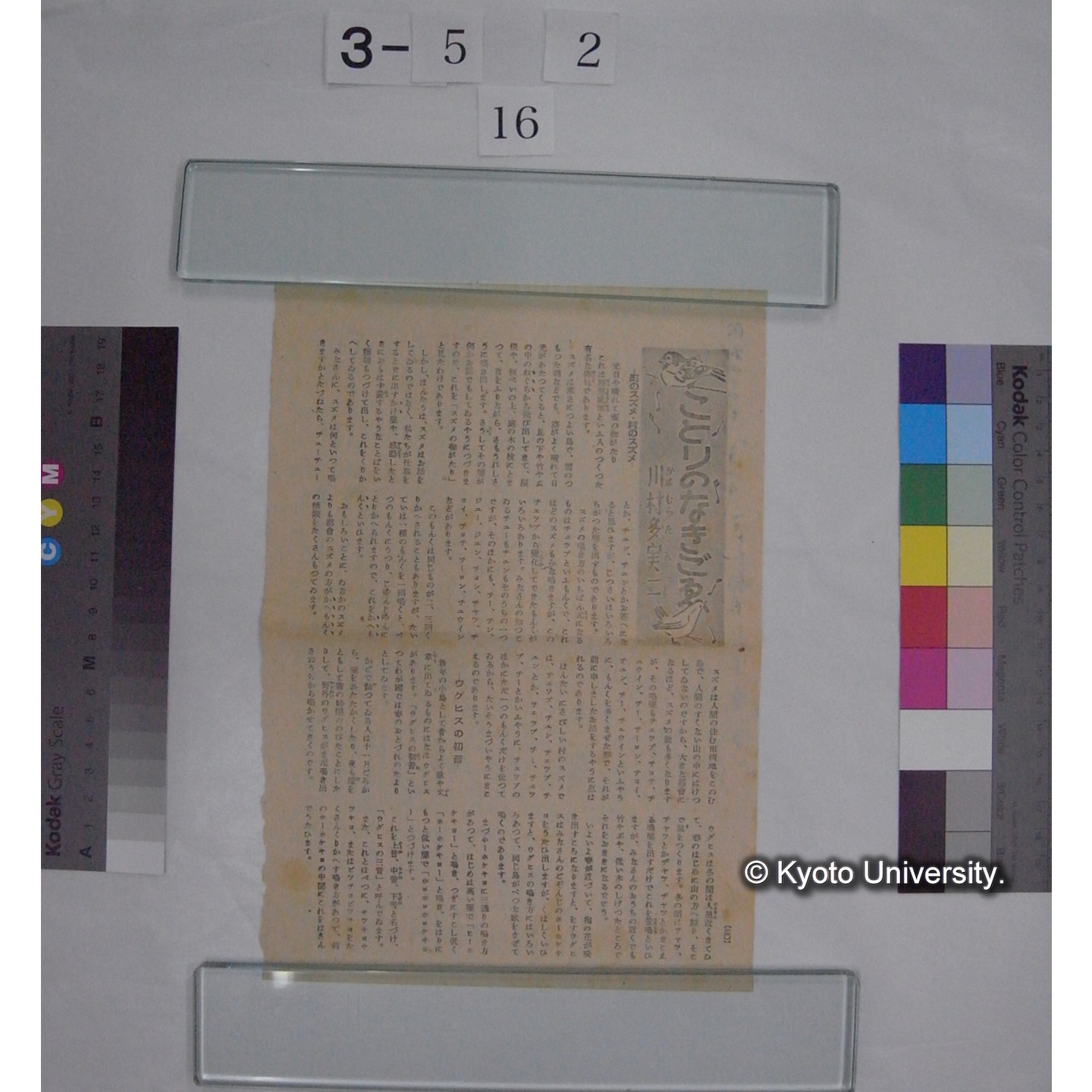 ことりのなきごえ/川村多実二 (こども朝日; 7巻1号切抜) (5)