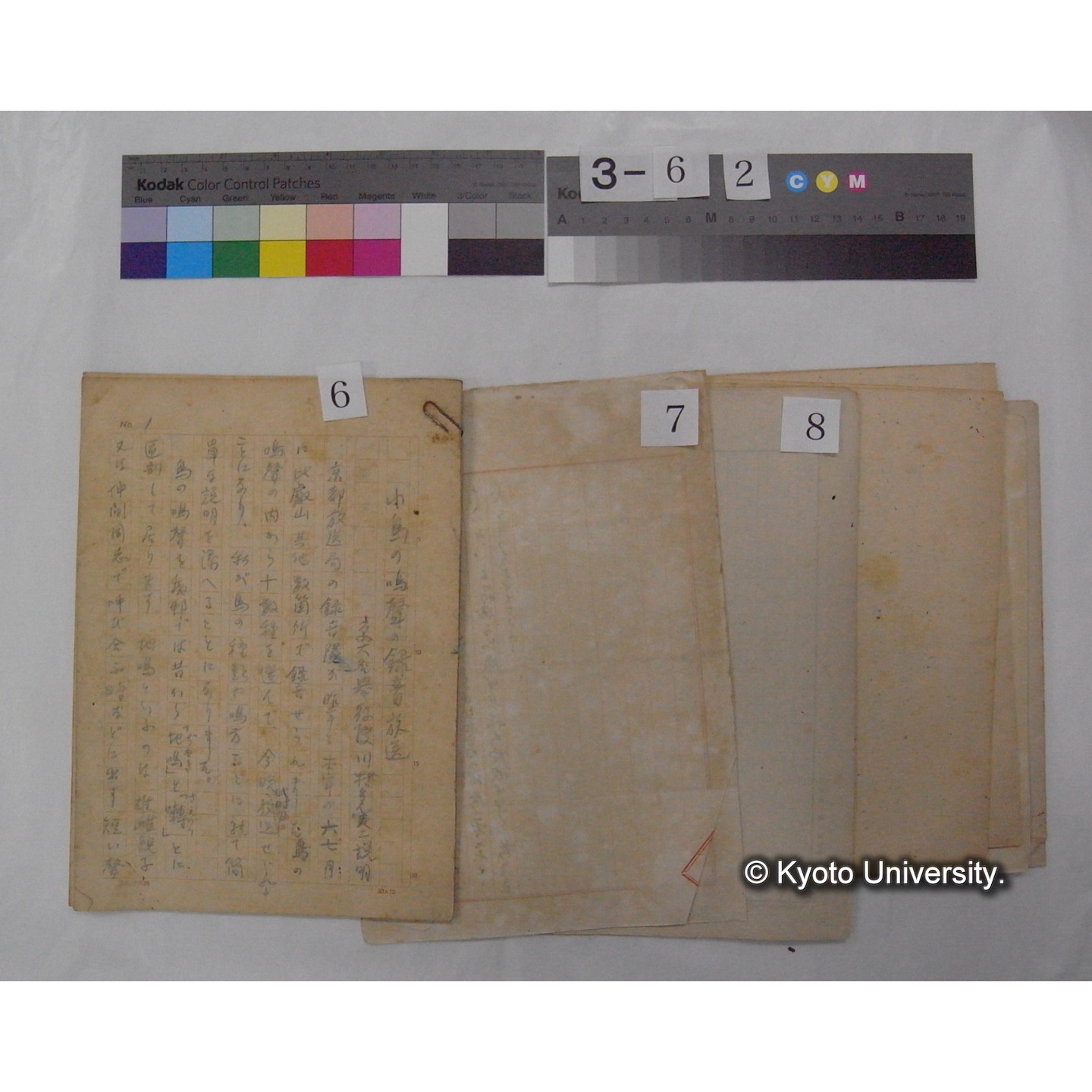 原稿・資料等 (「放送原稿」「鳥類愛護/放送原稿」) (12)