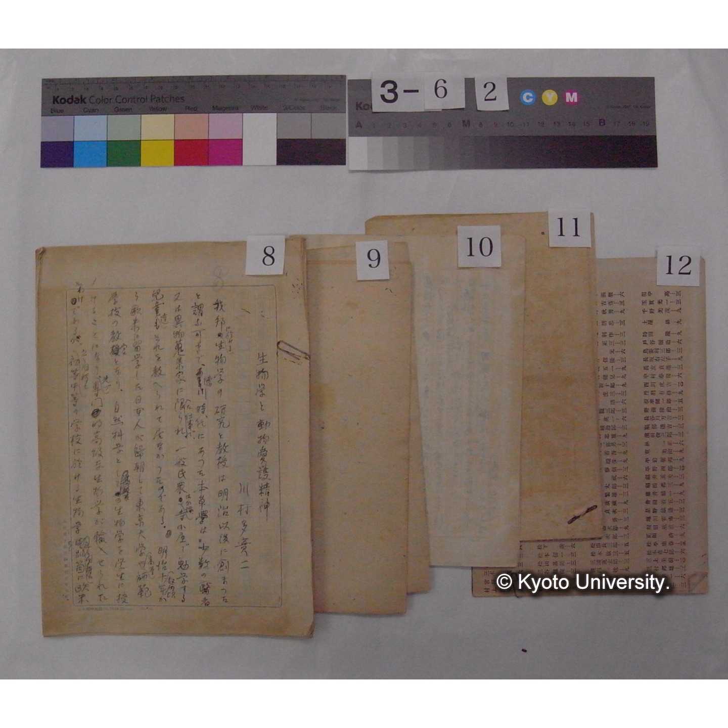 原稿・資料等 (「放送原稿」「鳥類愛護/放送原稿」) (16)