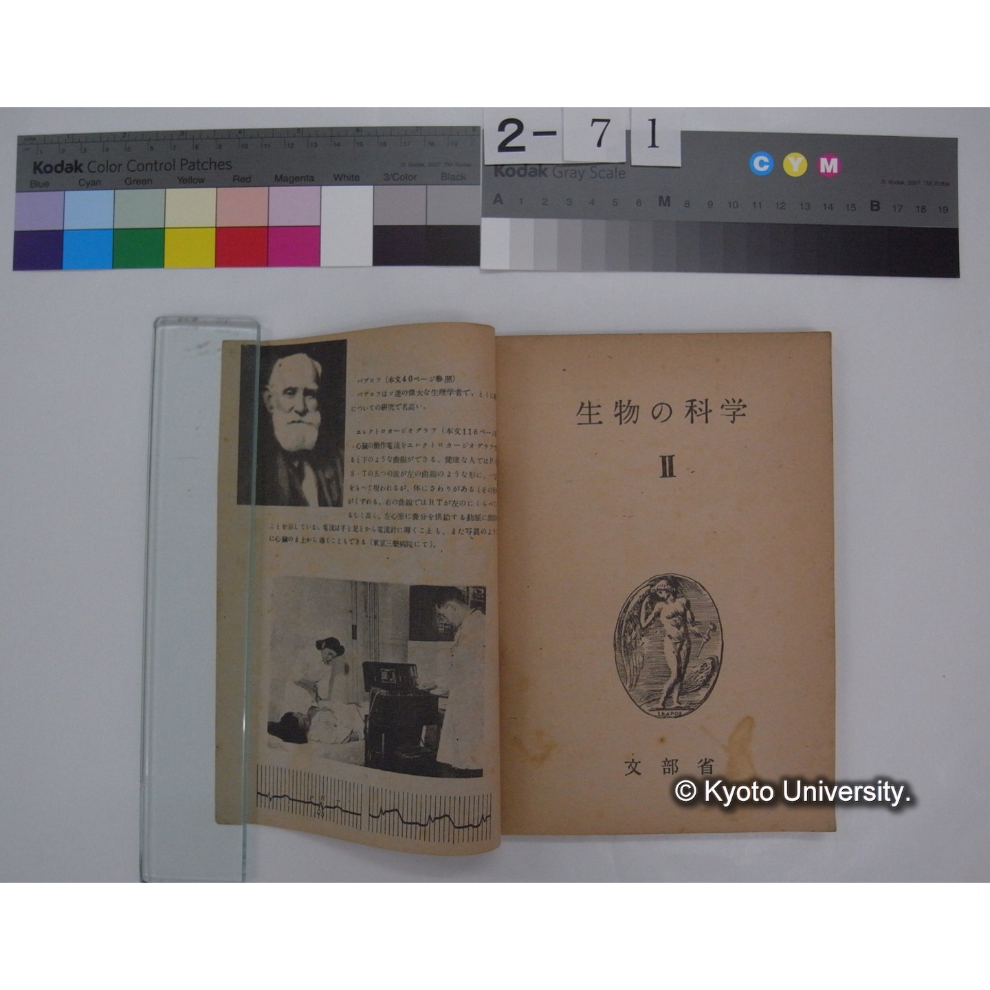 生物の科学 2 : 高等学校用生物教科書 / 文部省 (2)