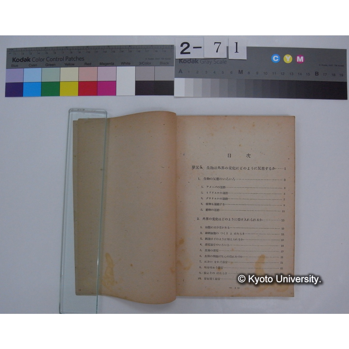 生物の科学 2 : 高等学校用生物教科書 / 文部省 (3)