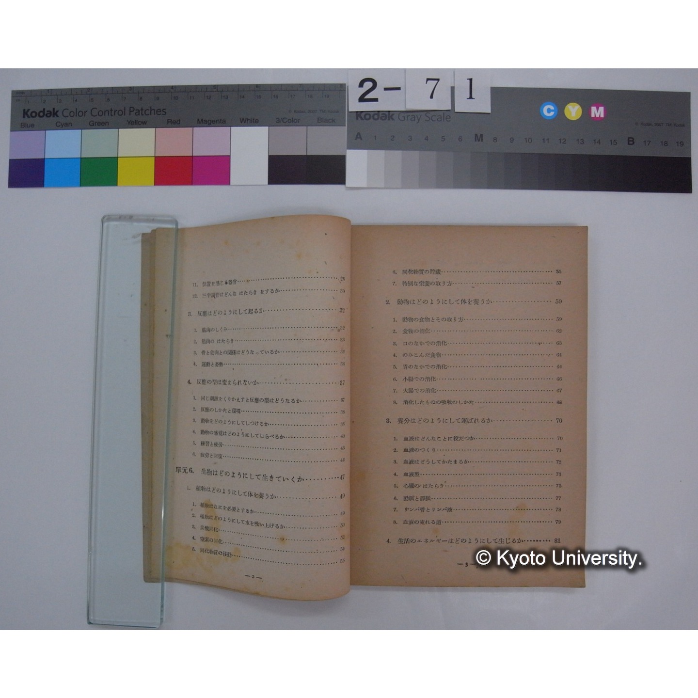 生物の科学 2 : 高等学校用生物教科書 / 文部省 (4)